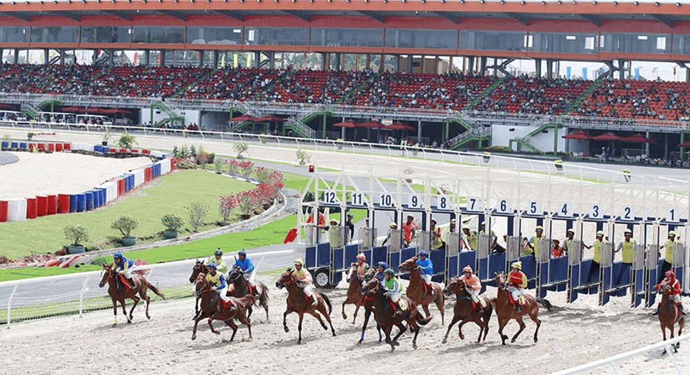 Giải đua ngựa ở Việt Nam - Longines - Đại Lải Resort Cup