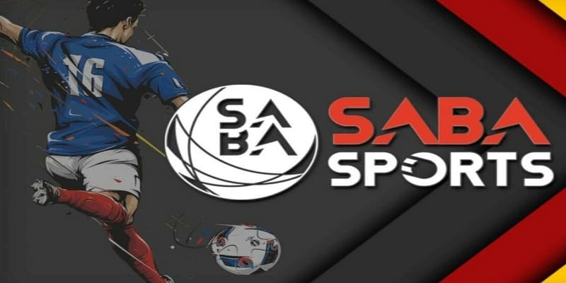 Cá cược thể thao Saba MCW77 là gì?